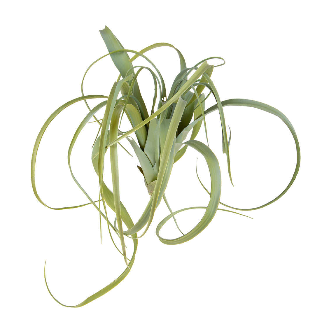 Verde Invernale artificiale Tillandsia • 50 cm