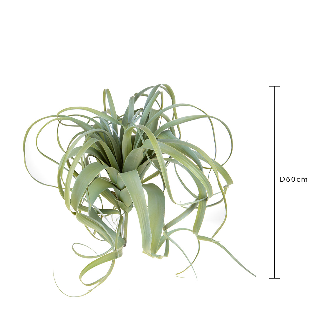 Tillandsia artificiale • 60 cm