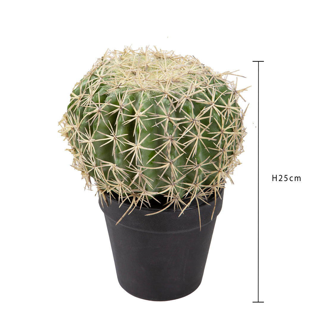 Verde artificiale Echinocactus • 25 cm