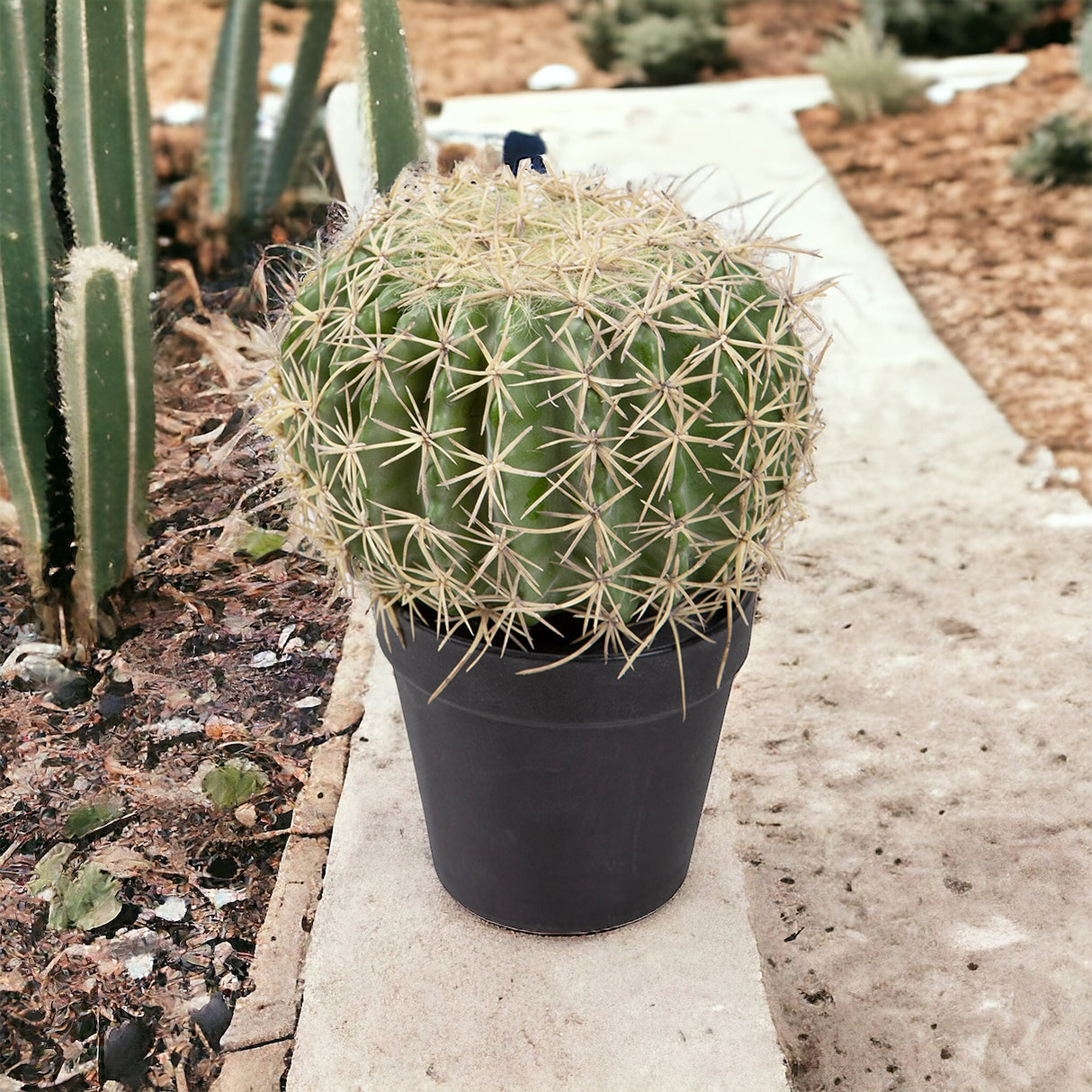 Verde artificiale Echinocactus • 25 cm