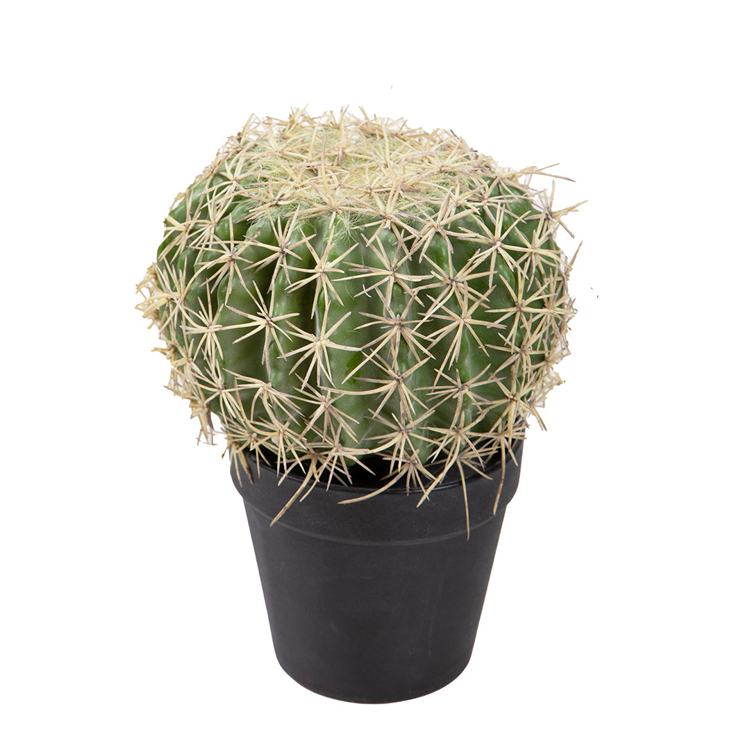 Verde artificiale Echinocactus • 25 cm