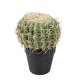 Verde artificiale Echinocactus • 25 cm
