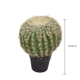 Verde artificiale Echinocactus • 36 cm