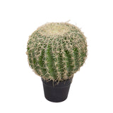 Verde artificiale Echinocactus • 36 cm