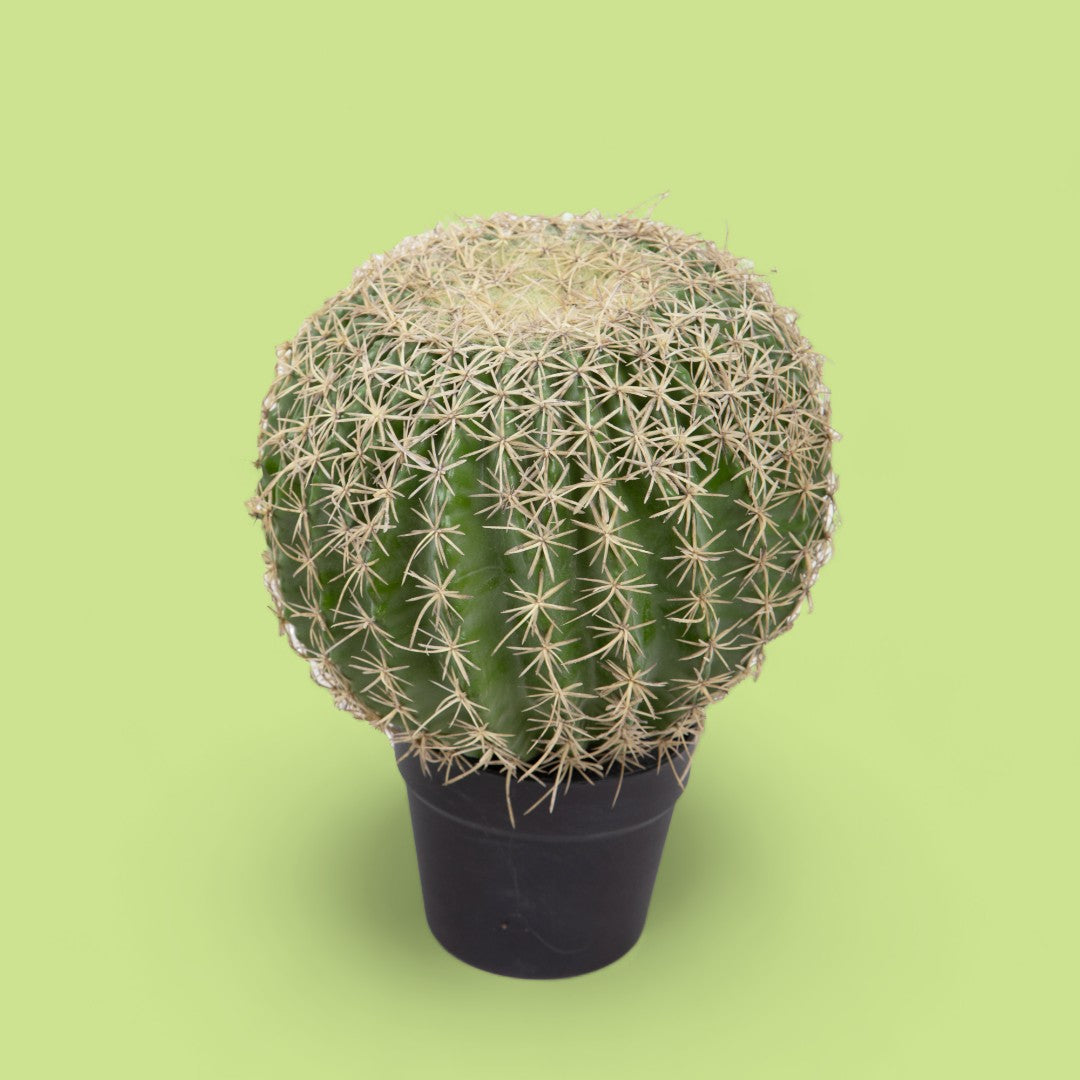 Verde artificiale Echinocactus • 36 cm