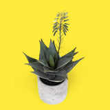 Aloe artificiale In Vaso • 34 cm