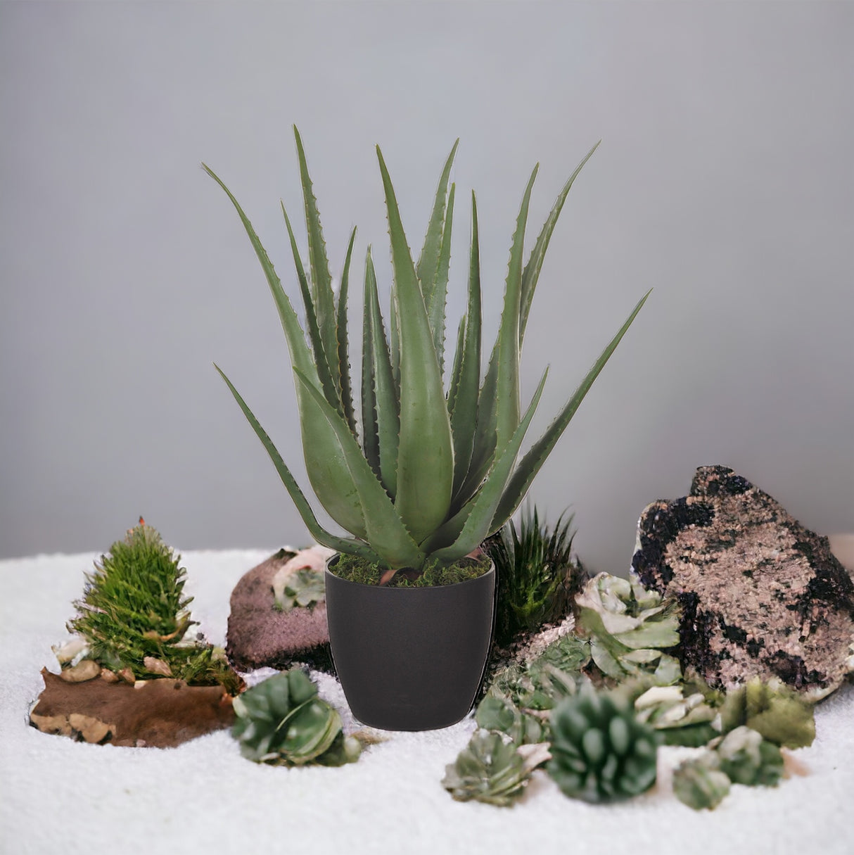 Aloe artificiale con vaso alto • 70 cm