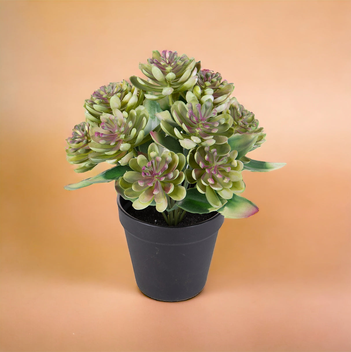 Pianta Succulent artificiale In Vaso artificiale • 25 cm