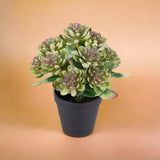 Pianta Succulent artificiale In Vaso artificiale • 25 cm