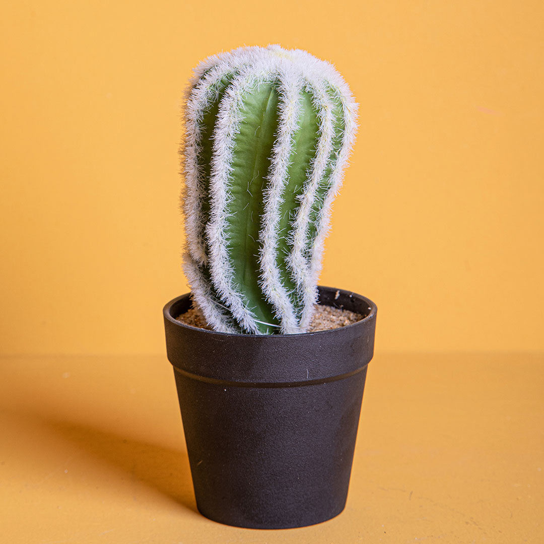 Cactus con vaso artificiale •  20 cm