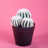 Cactus per 3 con vaso artificiale •  12 cm