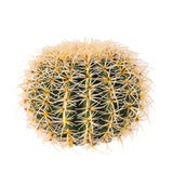 Verde artificiale Echinocactus • 27 cm