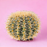 Verde artificiale Echinocactus • 27 cm