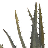 Aloe artificiale •  24 cm