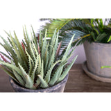 Aloe artificiale •  24 cm
