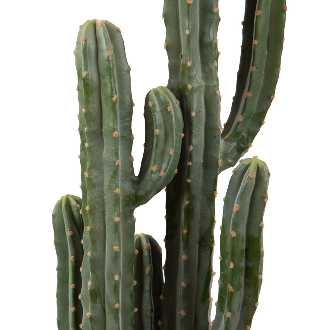 Cactus artificiale Cereus per 2 rami • 143 cm