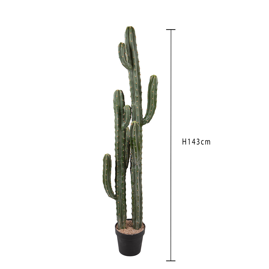 Cactus artificiale Cereus per 2 rami • 143 cm