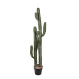 Cactus artificiale Cereus per 2 rami • 143 cm