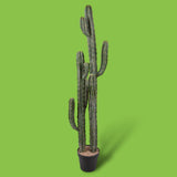 Cactus artificiale Cereus per 2 rami • 143 cm