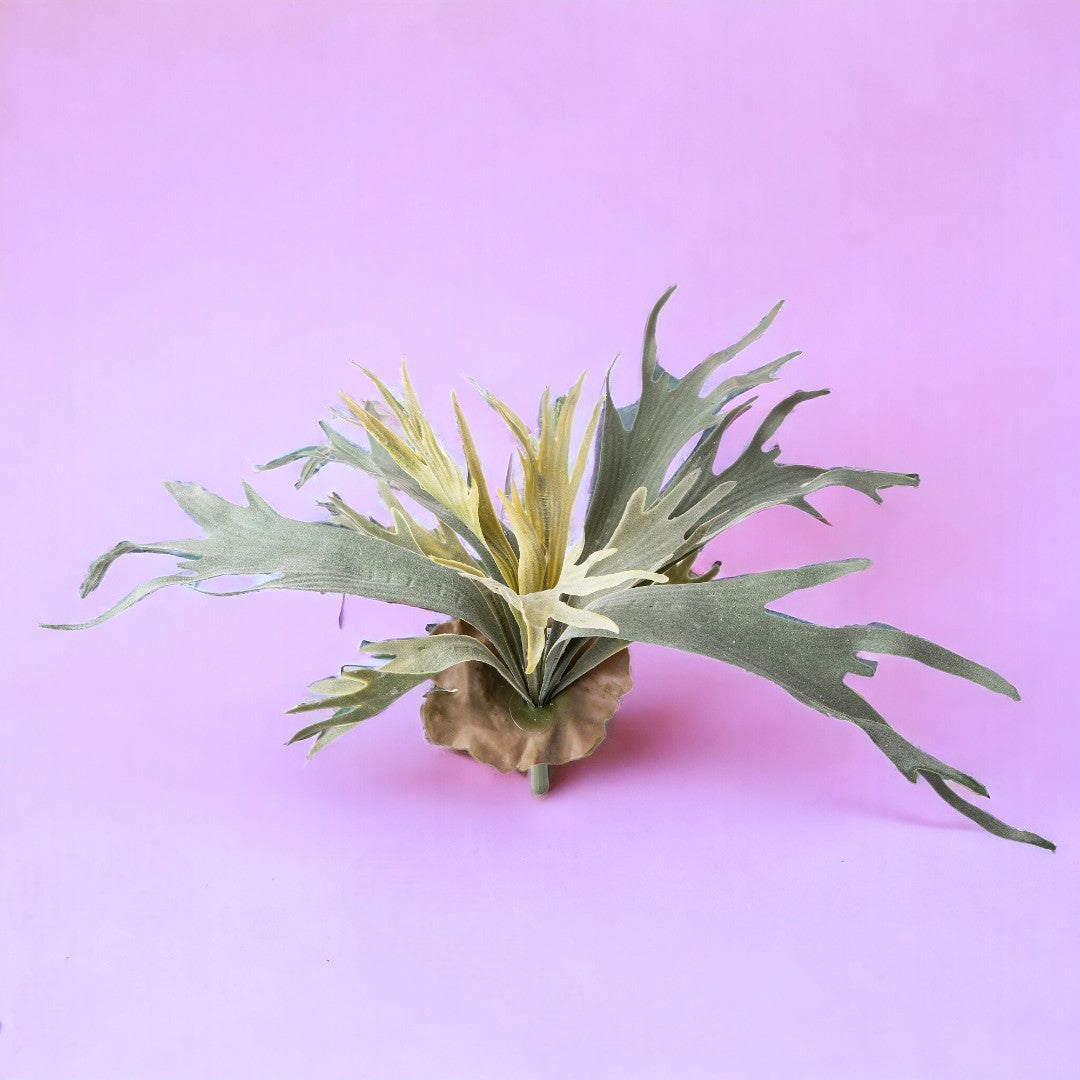 Platycerium per artificiale •  48 cm