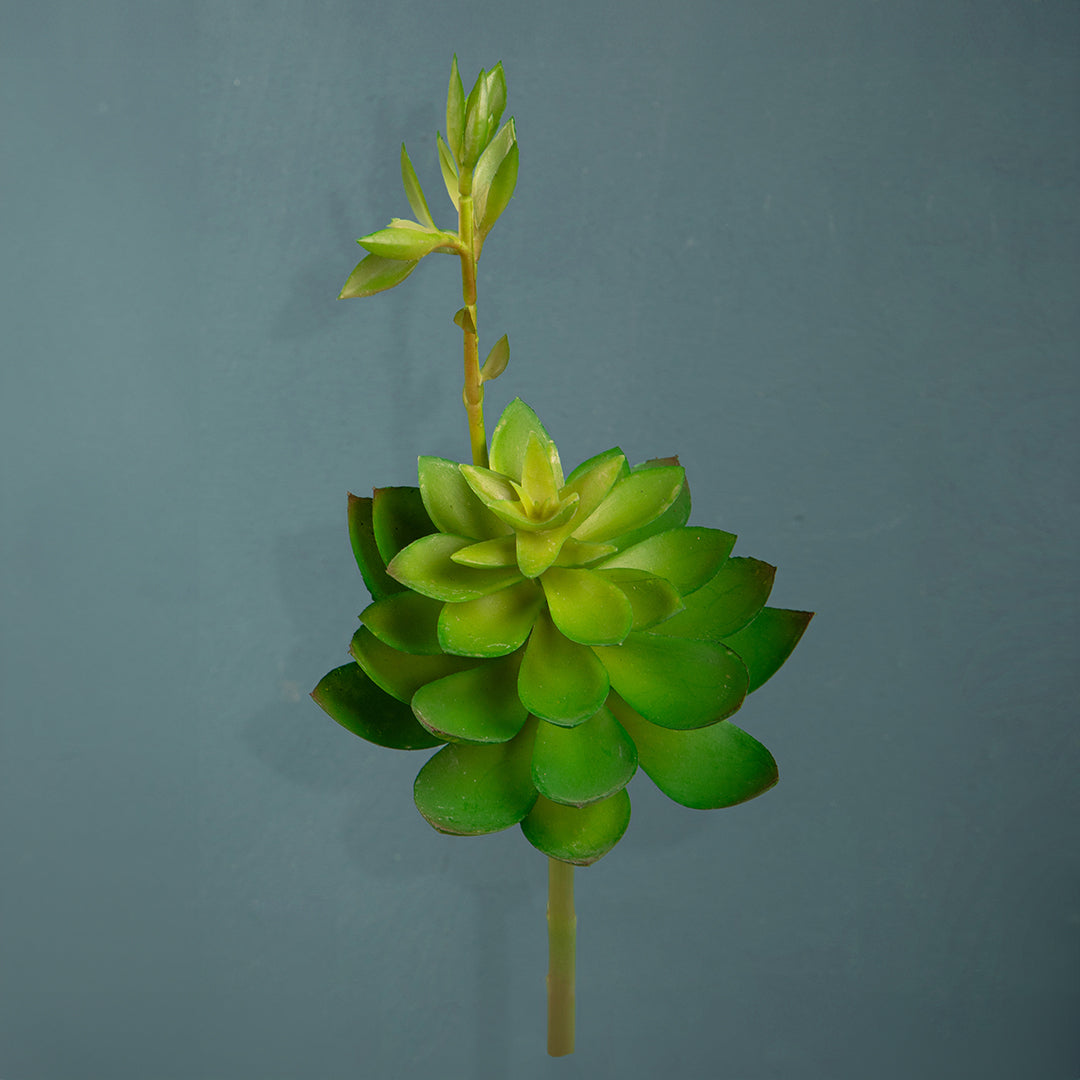 4 Pezzi • Echeveria cactus artificiale • 21 cm
