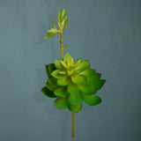 4 Pezzi • Echeveria cactus artificiale • 21 cm