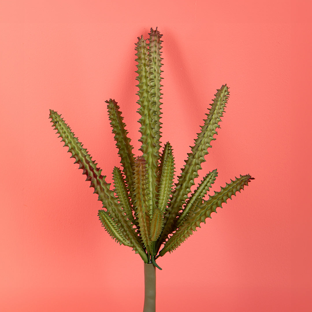 4 Pezzi • Staphelia cactus artificiale • 23 cm