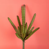 4 Pezzi • Staphelia cactus artificiale • 23 cm