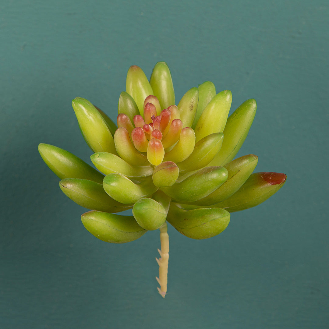 8 Pezzi • Crassula cactus artificiale • 9 cm
