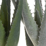 3 Pezzi • Mini aloe artificiale •  22 cm