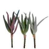 3 Pezzi • Mini aloe artificiale •  22 cm