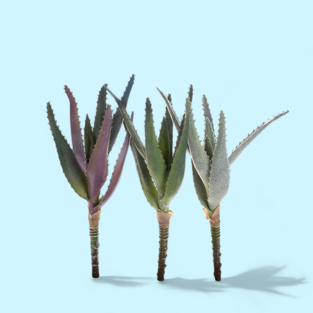 3 Pezzi • Mini aloe artificiale • 22 cm