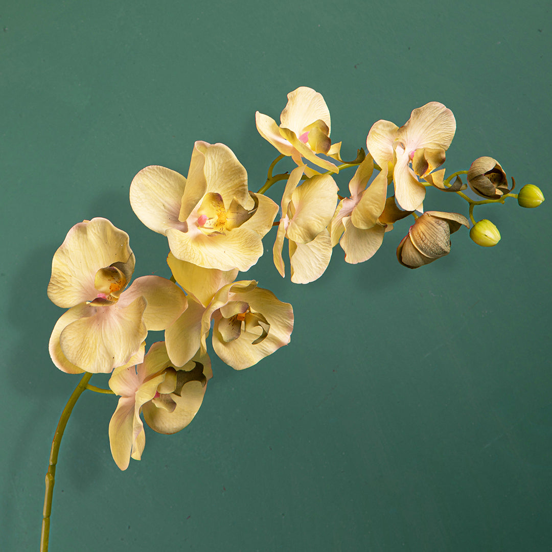 2 Pezzi • Orchidea artificiale con 10 fiori • 109 cm