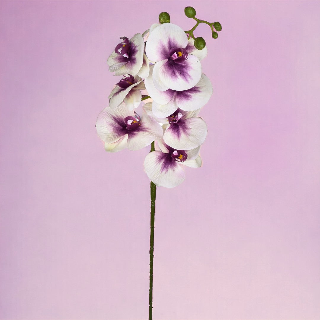 6 Pezzi • Fiore di Orchidea artificiale con 7 fiori • 96 cm