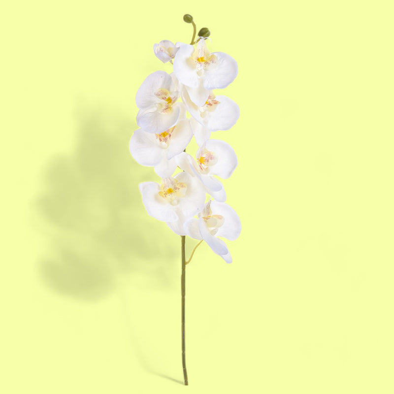 2 Pezzi • Fiore di Orchidea artificiale con 8 fiori • 65 cm