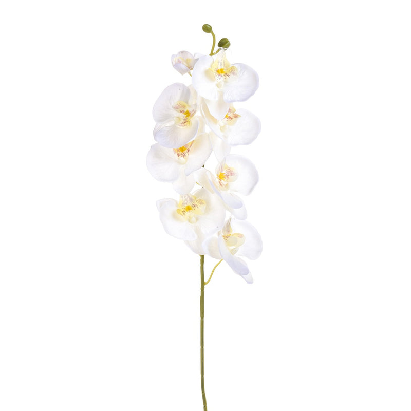 2 Pezzi • Fiore di Orchidea artificiale con 8 fiori • 65 cm