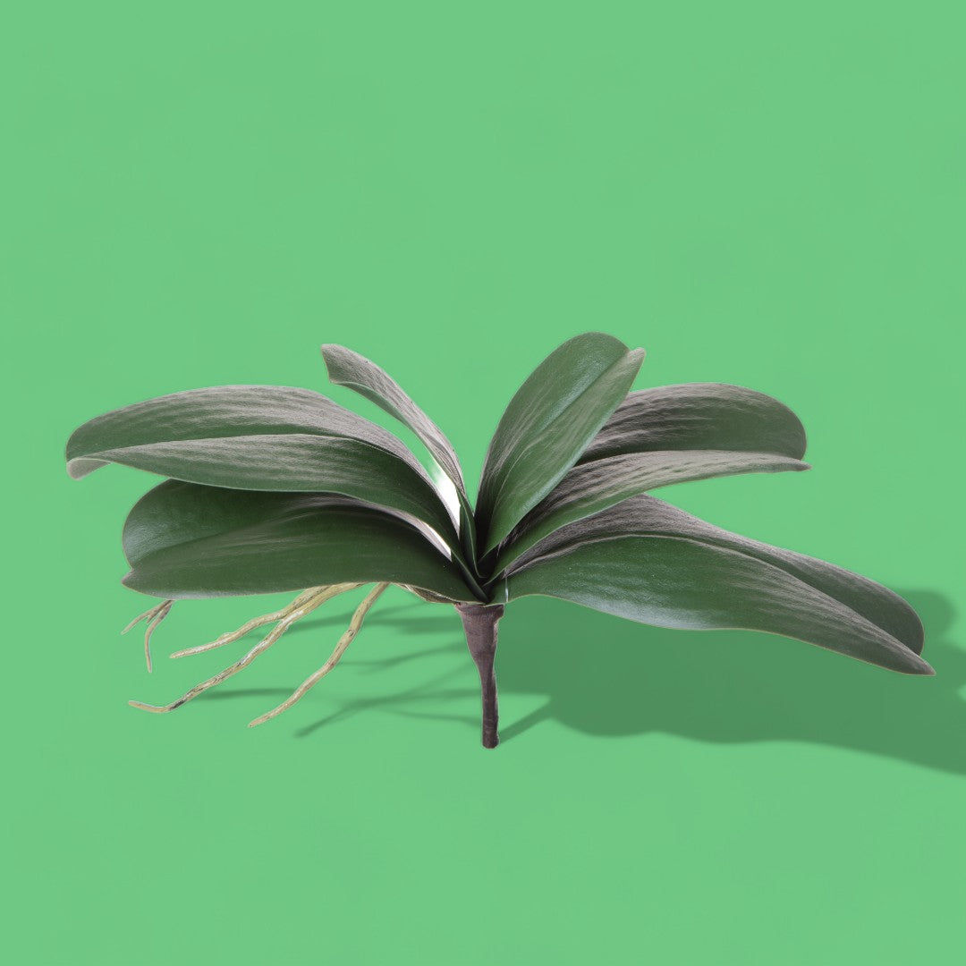 3 Pezzi • Orchiedea artificiale con 6 foglie •  36 cm