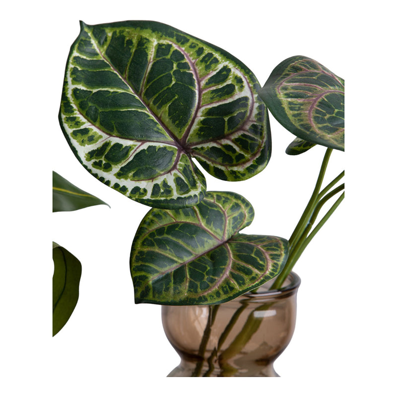 Caladium pianta artificiale •  65 cm