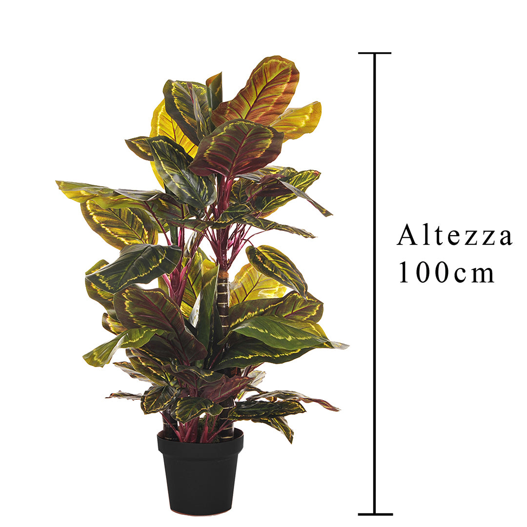 Verde artificiale Calathea con vaso 72 foglie • 100 cm