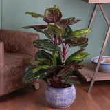 Verde artificiale Calathea con vaso 72 foglie • 100 cm