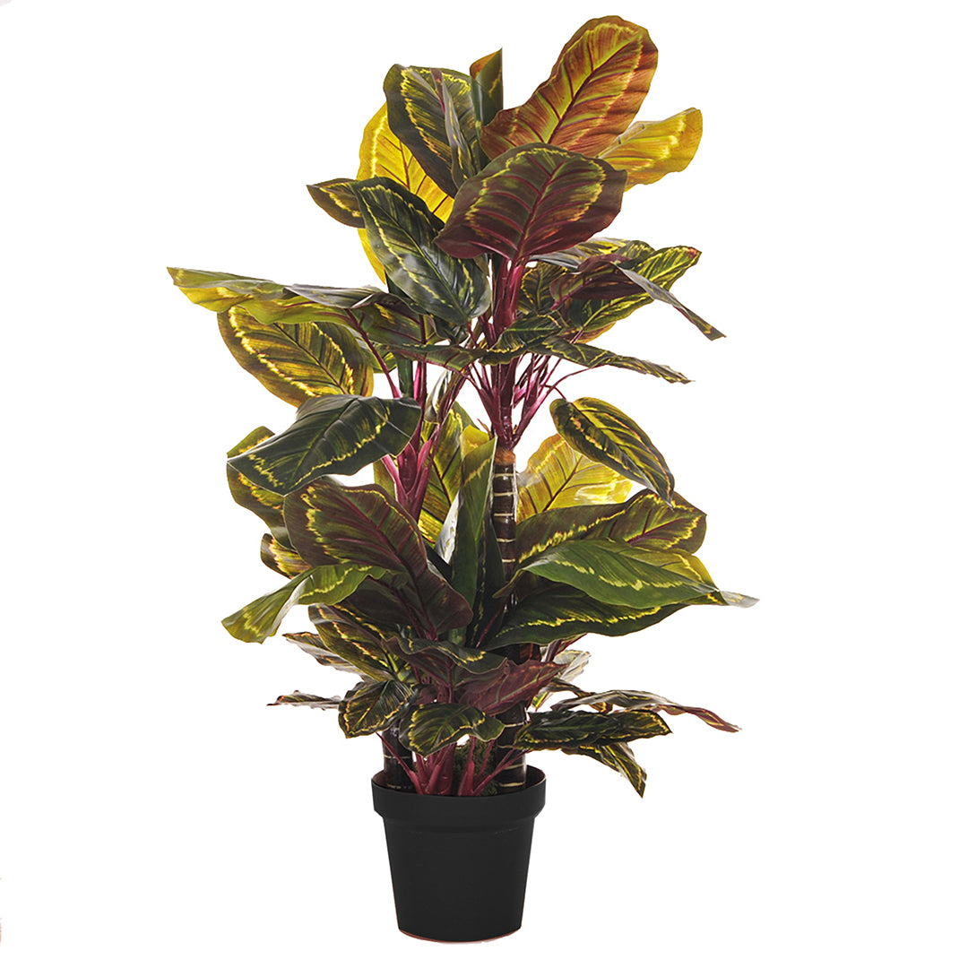 Verde artificiale Calathea con vaso 72 foglie • 100 cm