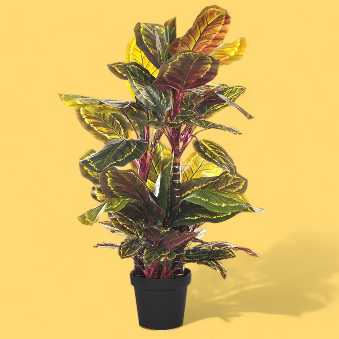 Verde artificiale Calathea con vaso 72 foglie • 100 cm