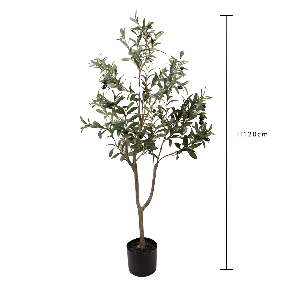Verde artificiale Pianta Olivo • 120 cm
