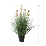 Allium per 13 con Vaso • 121 cm