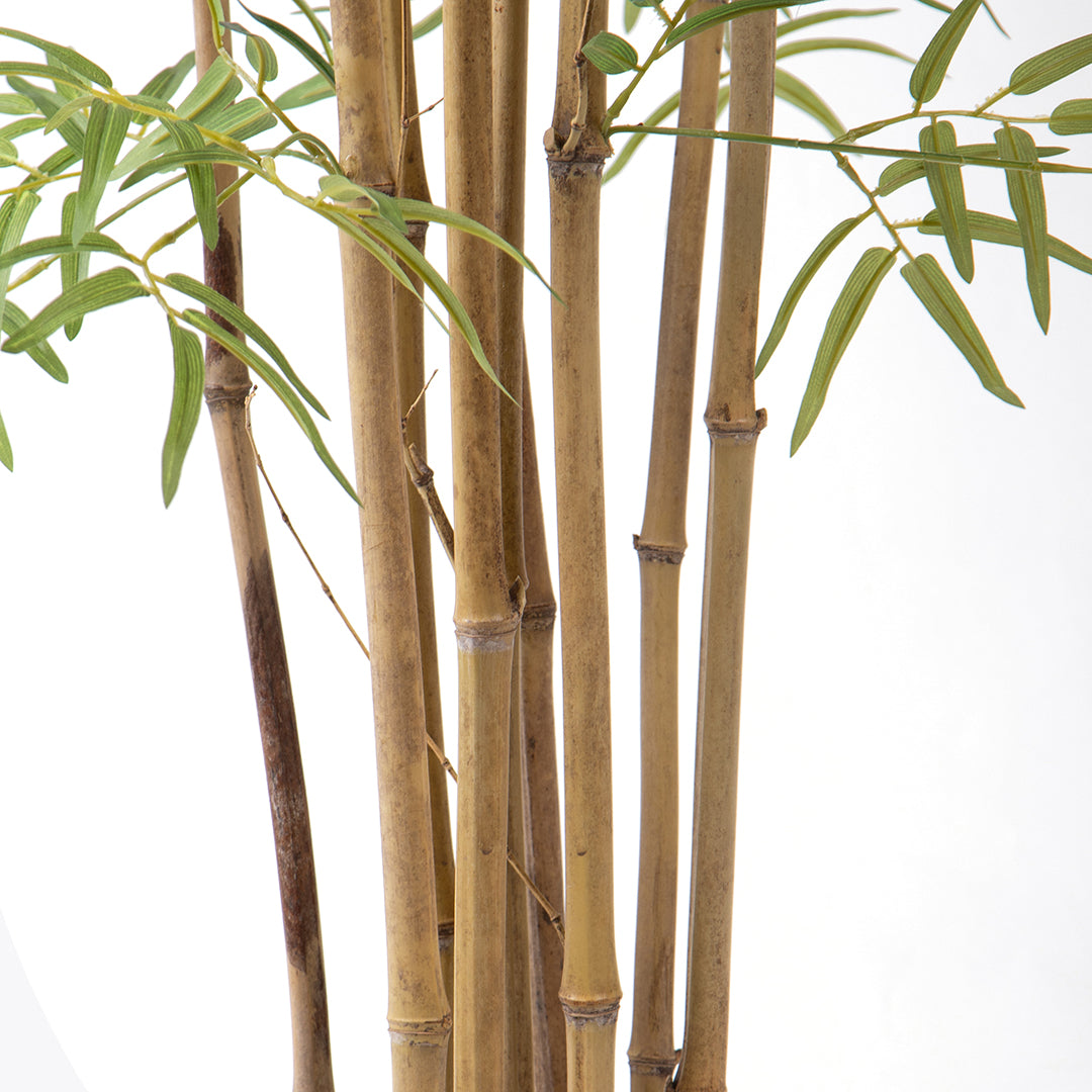 Bamboo per 9 foglie con Vaso • 260 cm