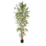 Bamboo per 9 foglie con Vaso • 260 cm