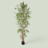Bamboo per 9 foglie con Vaso • 260 cm