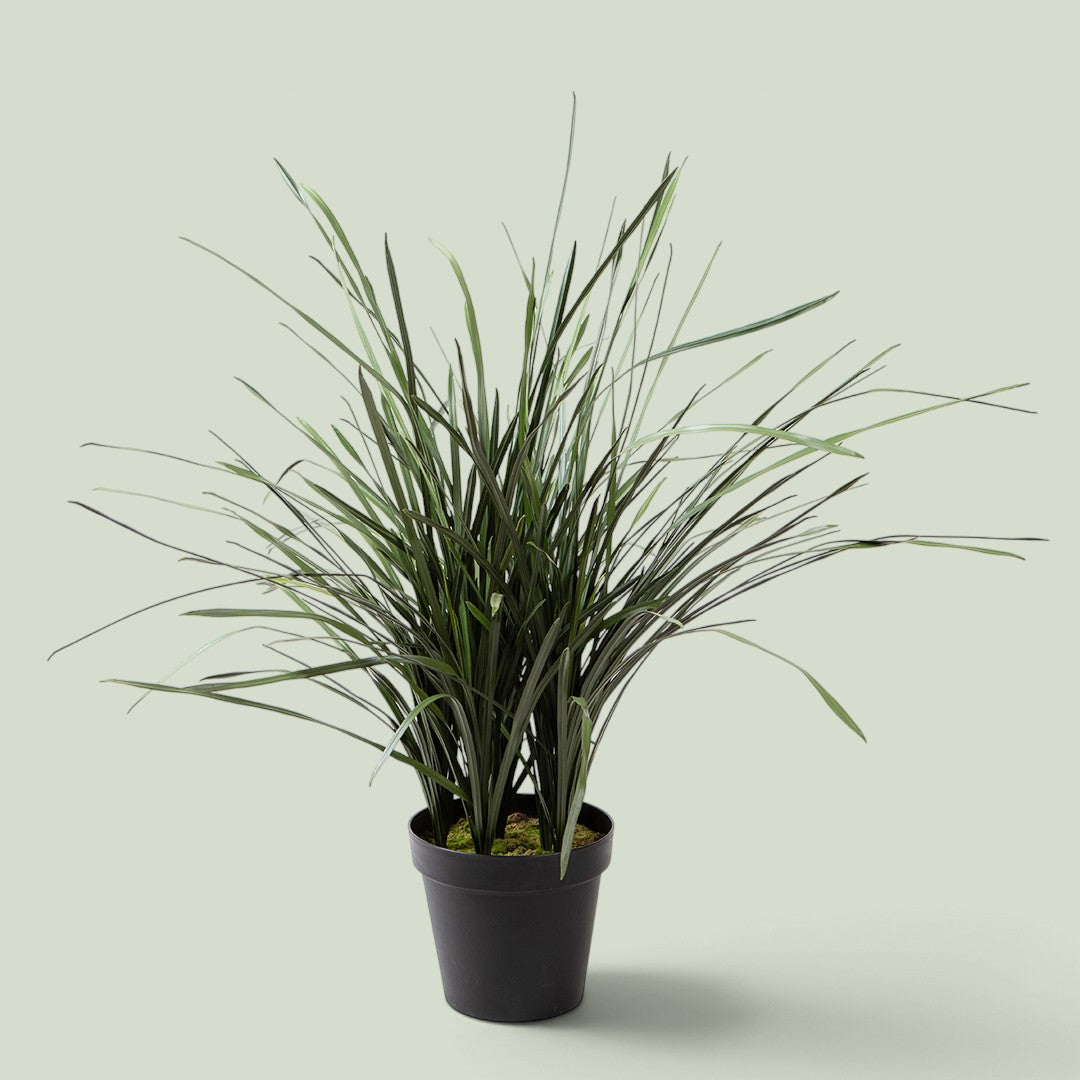 Grass 45 foglie con Vaso Real Touch • 95 cm