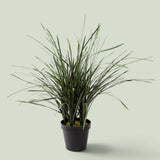 Grass 45 foglie con Vaso Real Touch • 95 cm