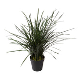 Grass 45 foglie con Vaso Real Touch • 95 cm